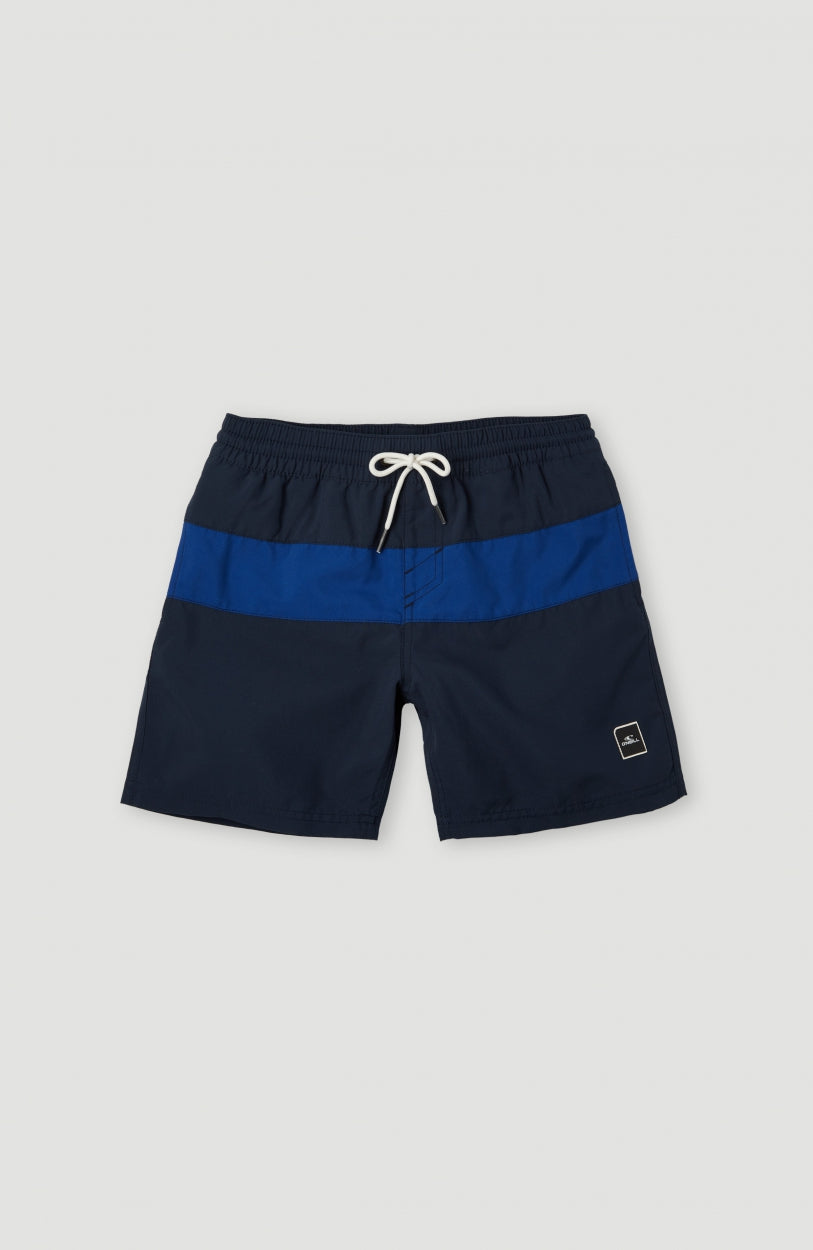 Block Swim Shorts 13