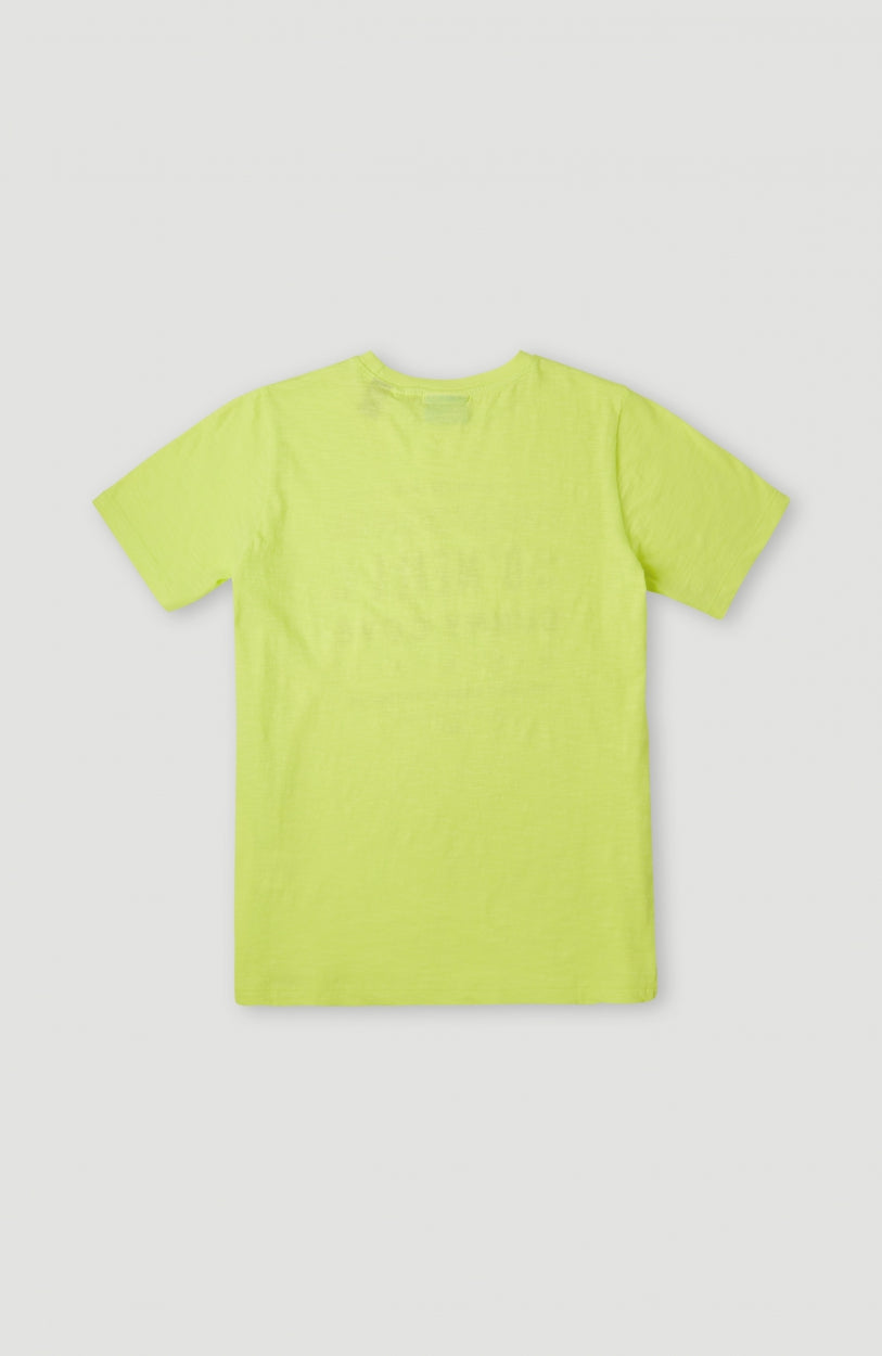 Muir T-Shirt | Sunny Lime