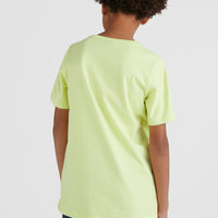 All Year T-Shirt | Sunny Lime