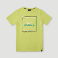 All Year T-Shirt | Sunny Lime