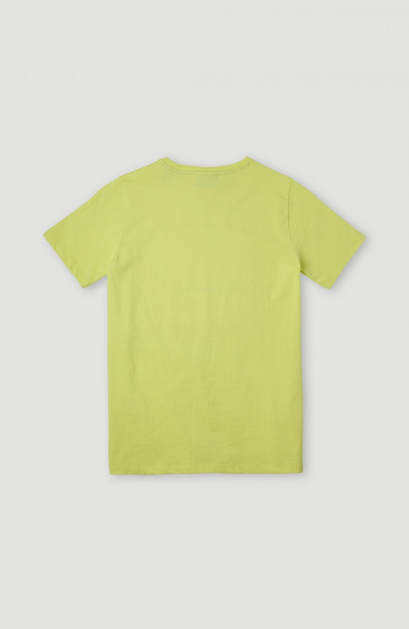 All Year T-Shirt | Sunny Lime