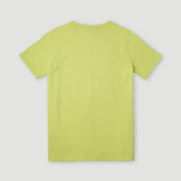All Year T-Shirt | Sunny Lime