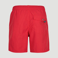 Vert Swim Shorts | Plaid