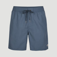 Vert Swim Shorts | Dusty Blue -A